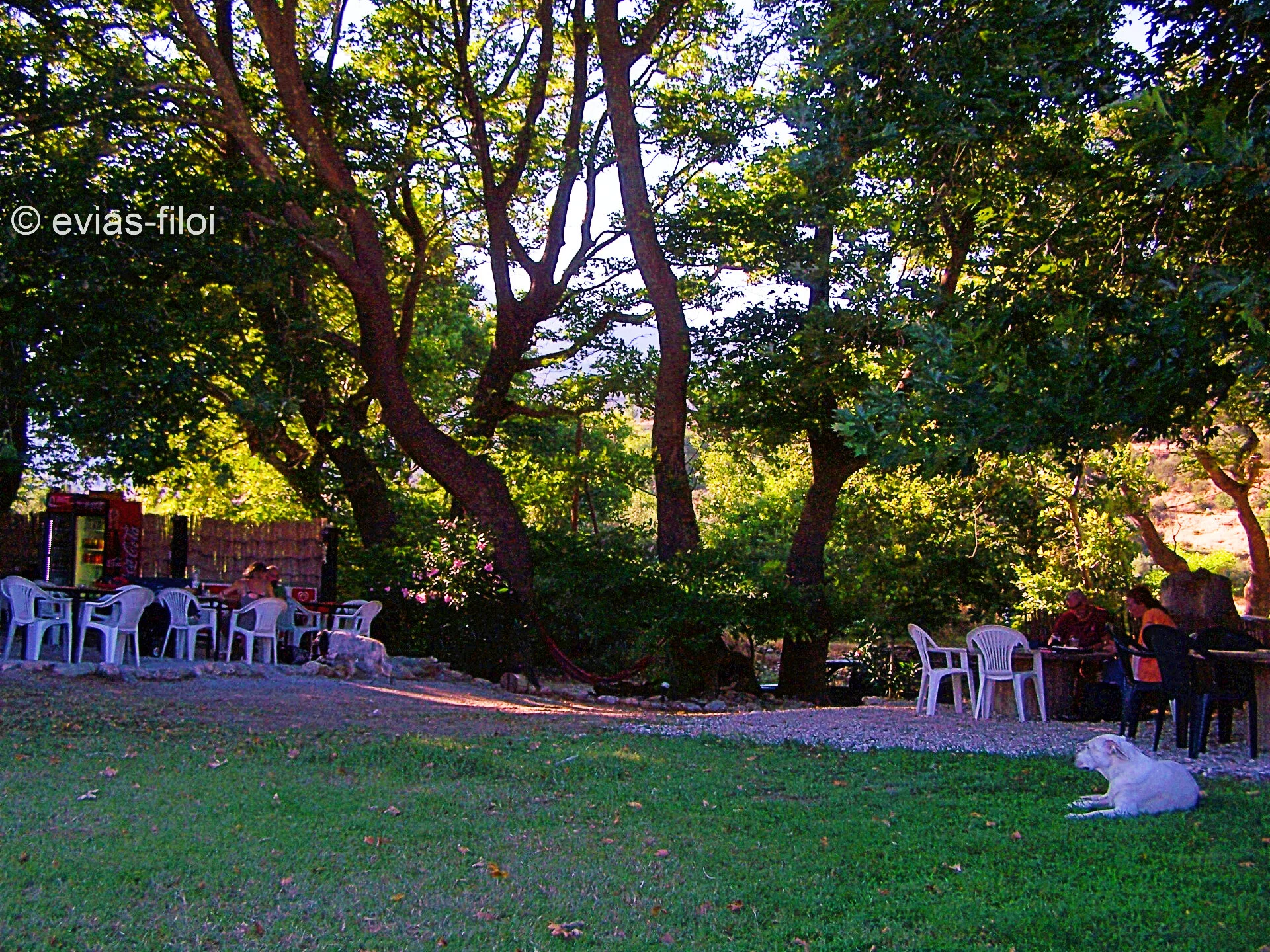 Ποτάμι Πλατανιστού Καρυστίας