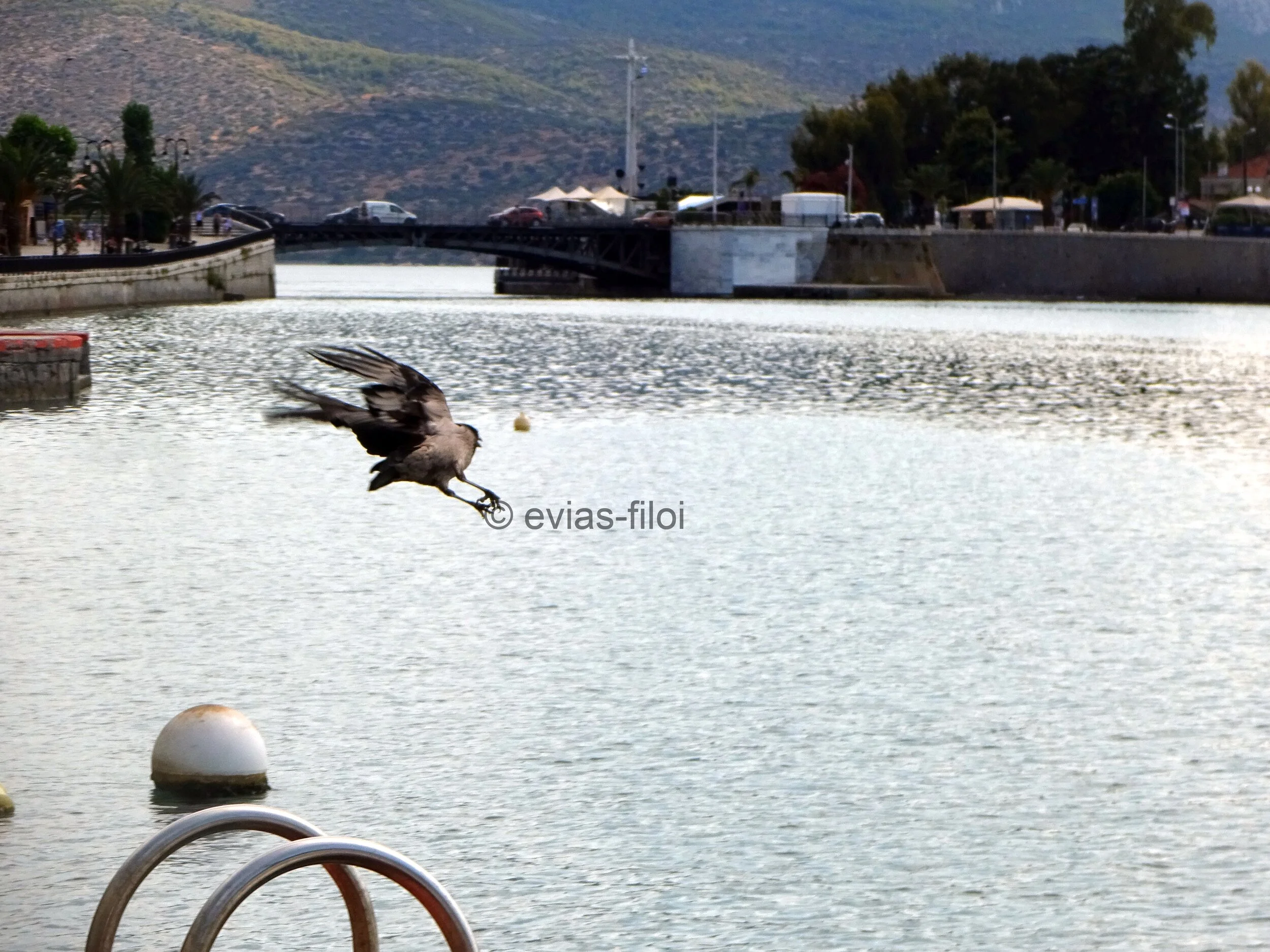 Νέες φυλακές 1.000 κρατουμένων στη Χαλκίδα