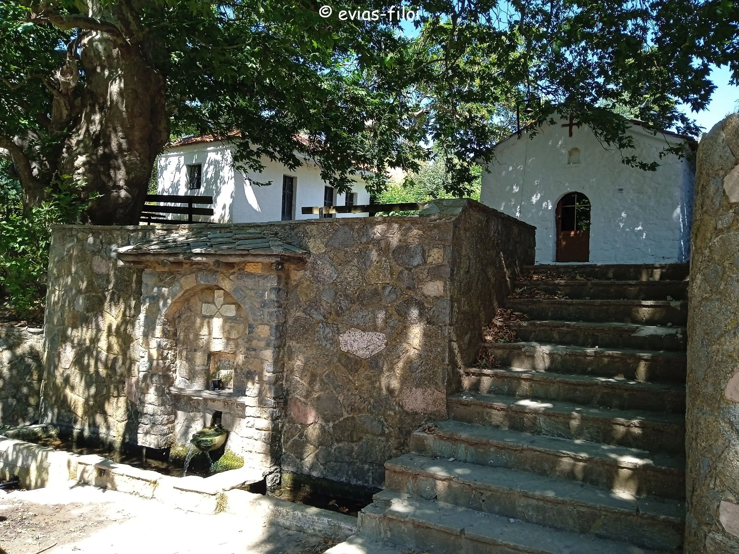 Στο ελατόδασος της καταπράσινης μέχρι τώρα ΣΕΤΑΣ-ΒΙΝΤΕΟ &amp; 18 ΦΩΤΟ!