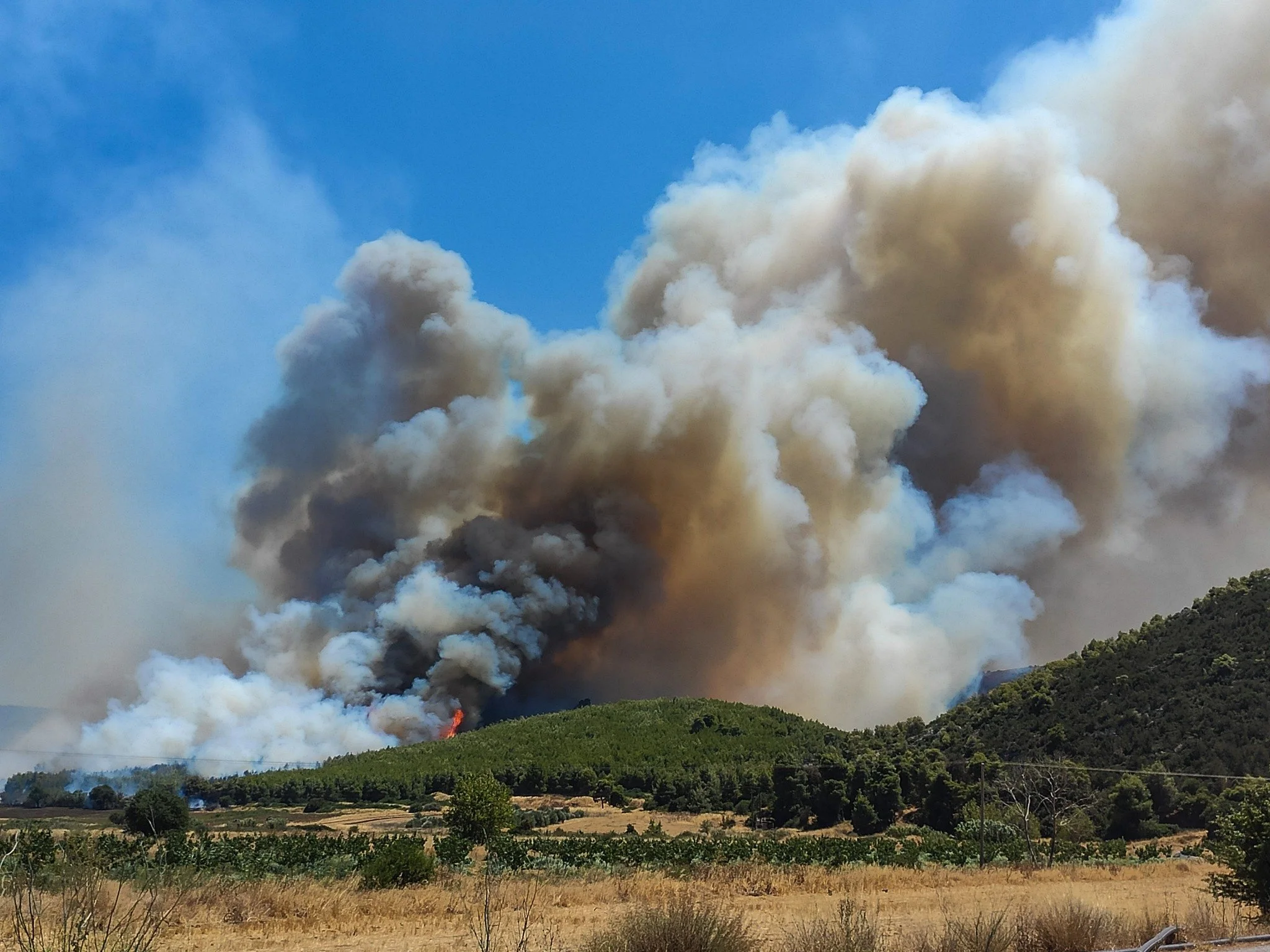 Πυρκαγιά στον Πισσώνα Διρφύων -31.07.2024, 15:00