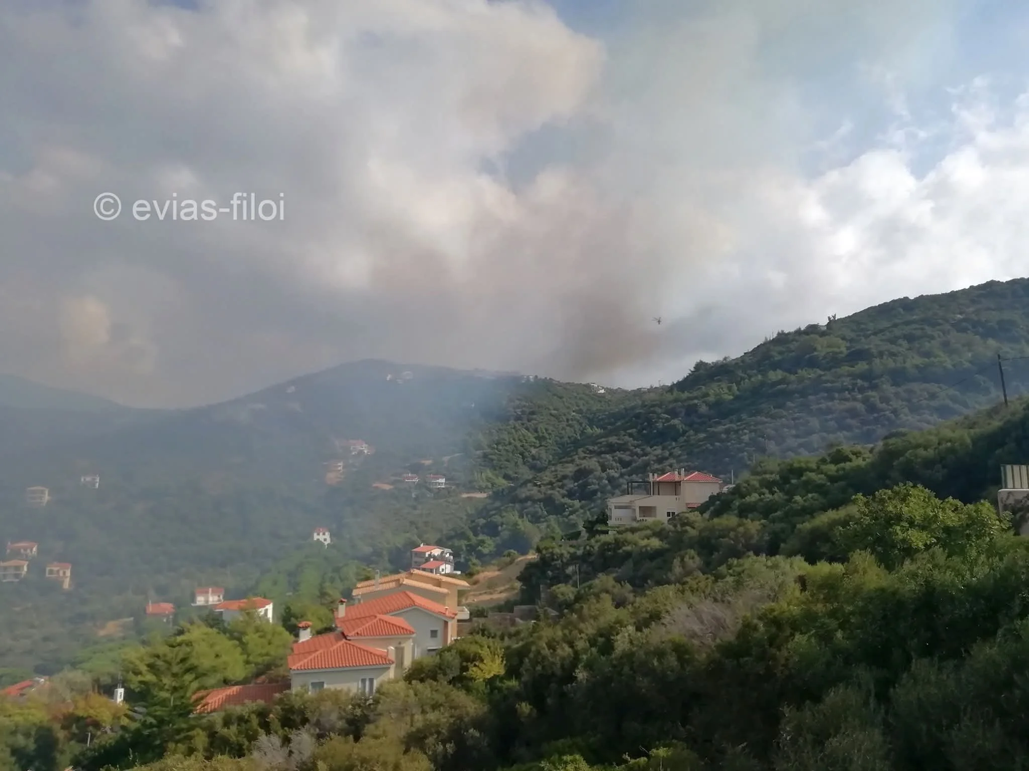 Σε ισχύ ακόμα τα μέτρα αποφυγής πυρκαγιών 