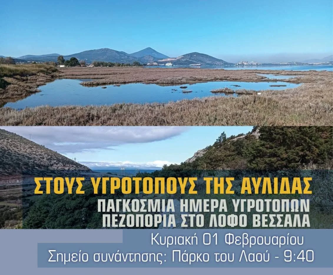 Αυλίδα και Παγκόσμια ημέρα Υγροτόπων 