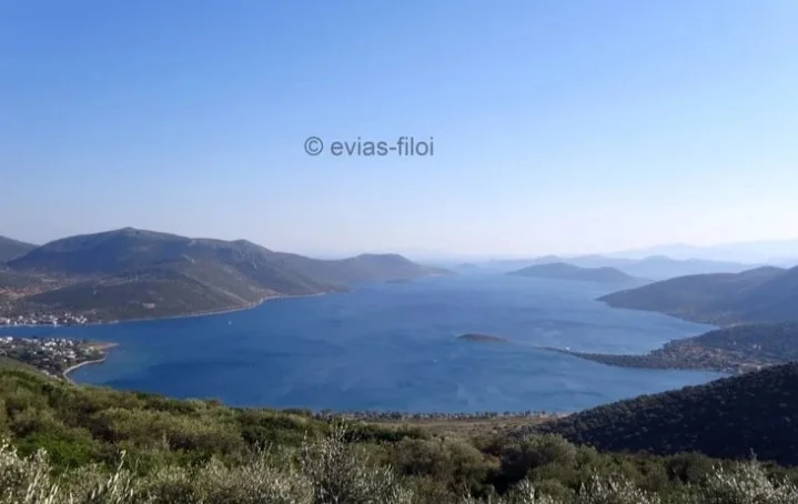 Διακοπή λειτουργίας ανεμογεννήτριας στο Αργυρό 