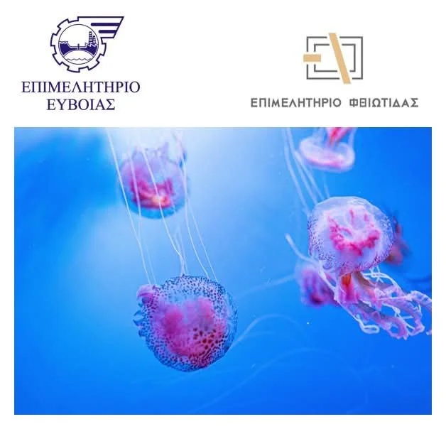 Επιμ. Εύβοιας-Αίτημα μέτρων στήριξης επιχειρήσεων για μωβ μέδουσες 