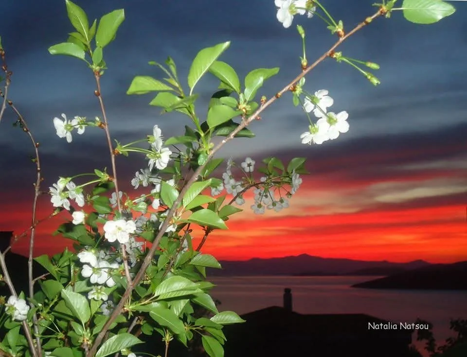 Καλοκαιρία από Μ. Δευτέρα με ανατροπές μετά..