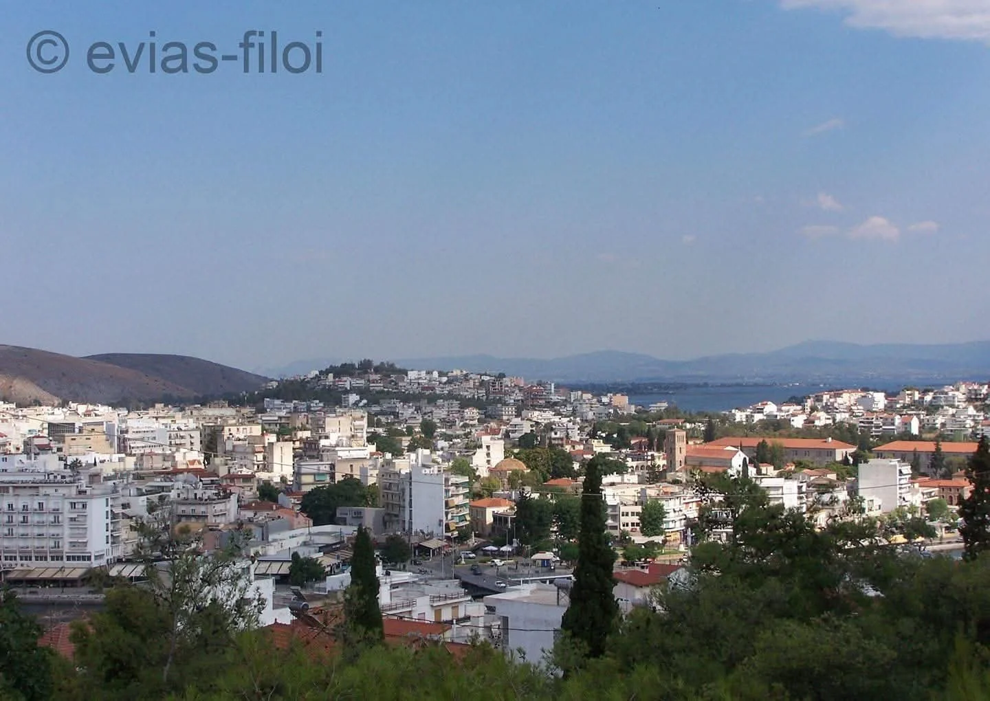 Εμπορικός/Βιομηχ. Συλλ. Χαλκίδας για προβλήματα επιχειρηματικής δραστηριότητας 