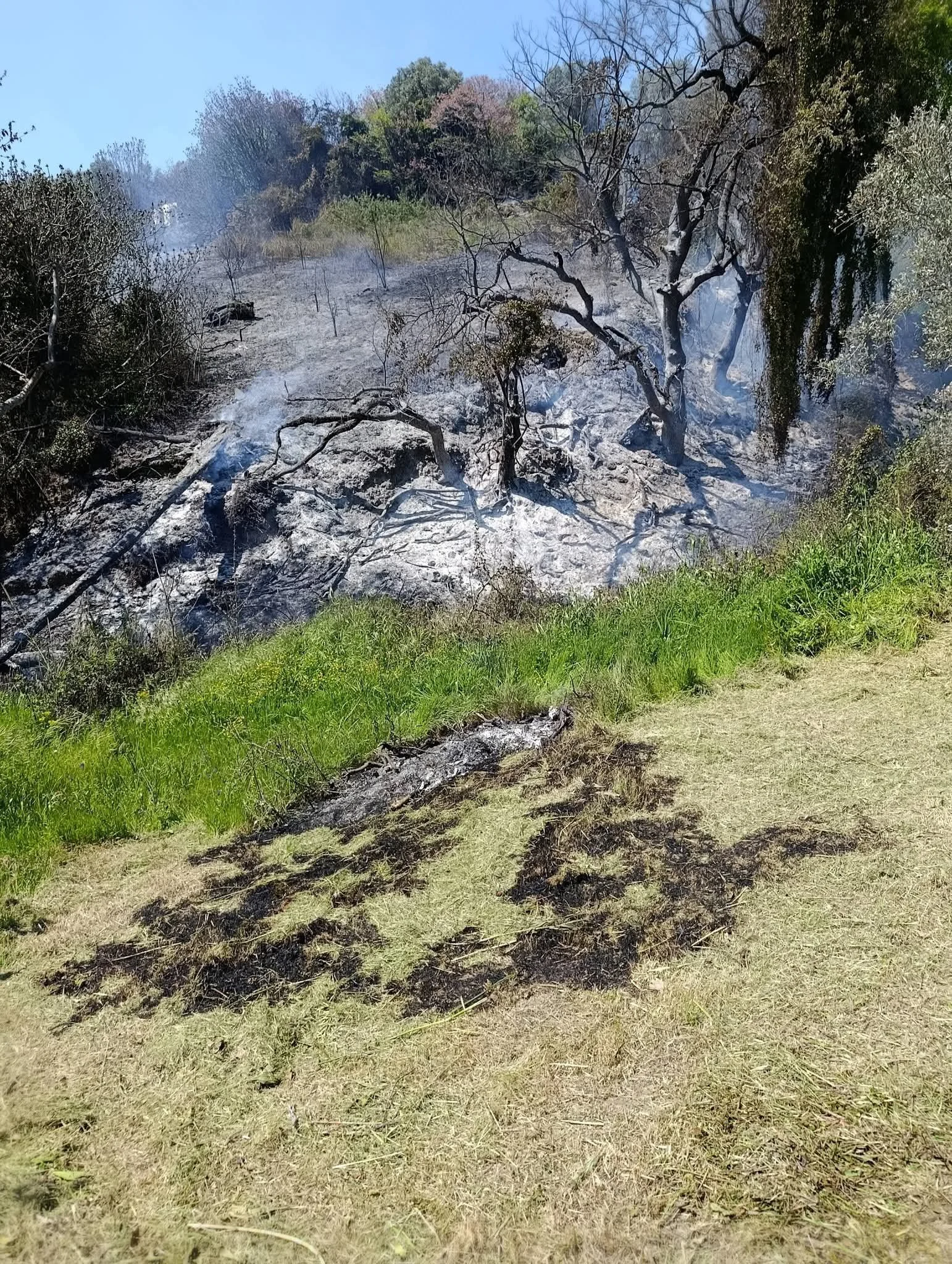 Φωτιά στον δρόμο Πλατάνα προς Μεντούλι 