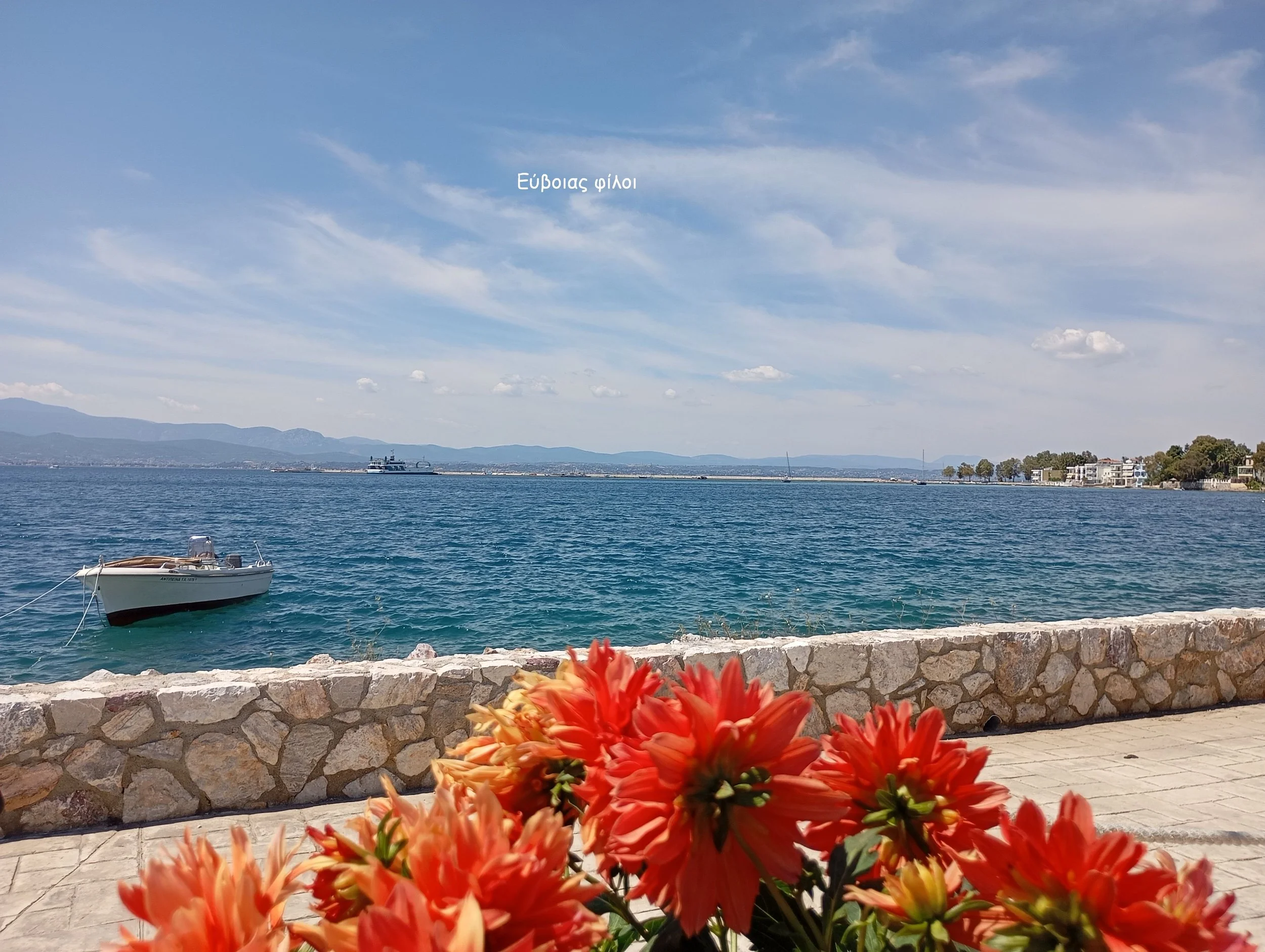 Άνοιξη - Χρώματα κι αρώματα! Και φωτό βεβαίως βεβαίως..