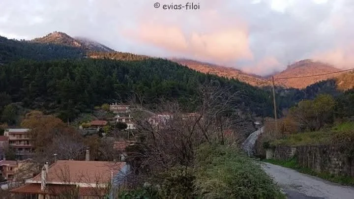Εκδήλωση για τα δασικά ευβοιώτικα συστήματα & την προστασία τους 