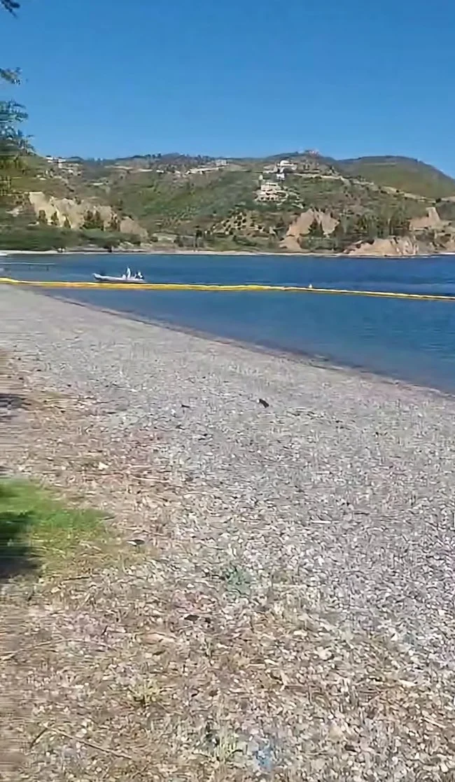 Δίχτυα κατά μεδουσών σε Λίμνη κ.α.