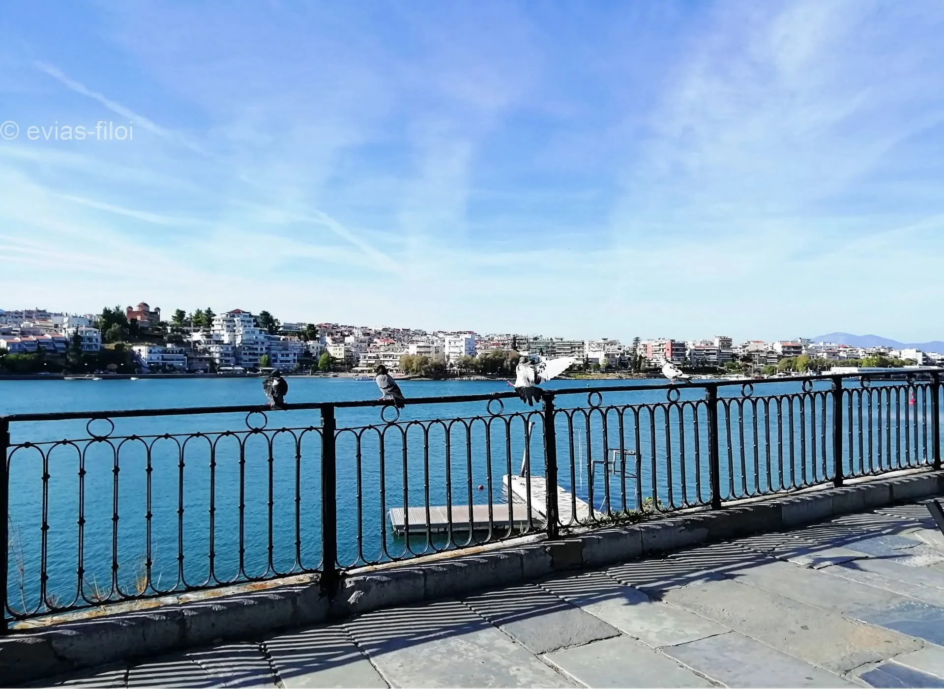 Ειδικότητες ΣΑΕΚ Γεν.Νοσ. Χαλκίδας 2026-'27