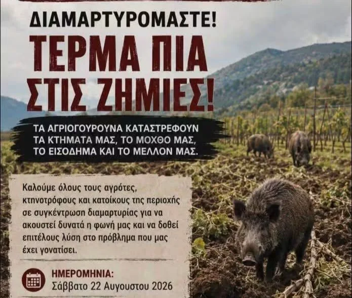 Το διογκούμενο πρόβλημα των αγριογούρουνων στην Εύβοια 