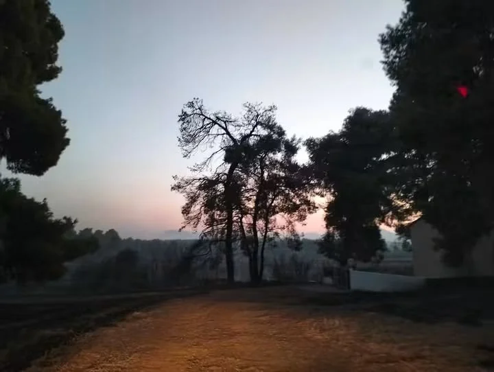 2η καταστροφική πυρκαγιά στην Τριάδα 