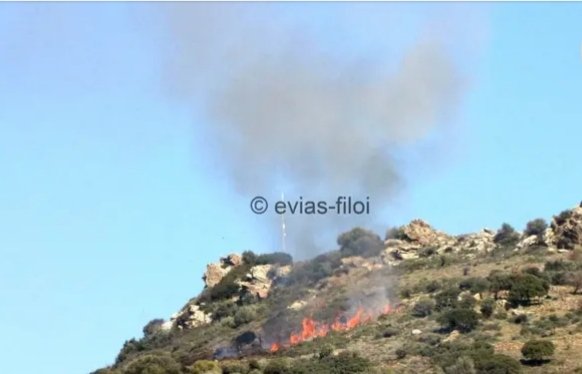 Ο Δήμος Διρφύων Μεσσαπίων για την πυρκαγιά 7ης/9/'26 στην Τριάδα..