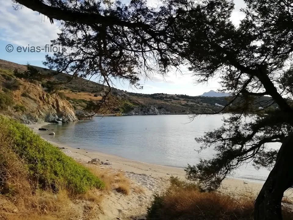 Βίντεο από Λυκόρεμα Μαρμαρίου Εύβοιας φίλοι 