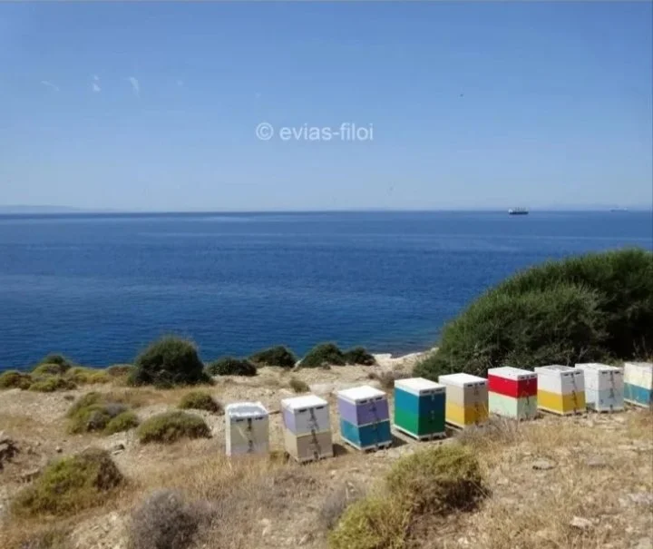 Ανακοίνωση προς μελισσοκόμους και βιοκαλλιεργητές Εύβοιας 