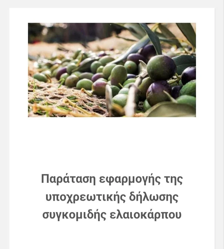 Παράταση υποβολής δηλώσεων συγκομιδής ελαιοκάρπου 