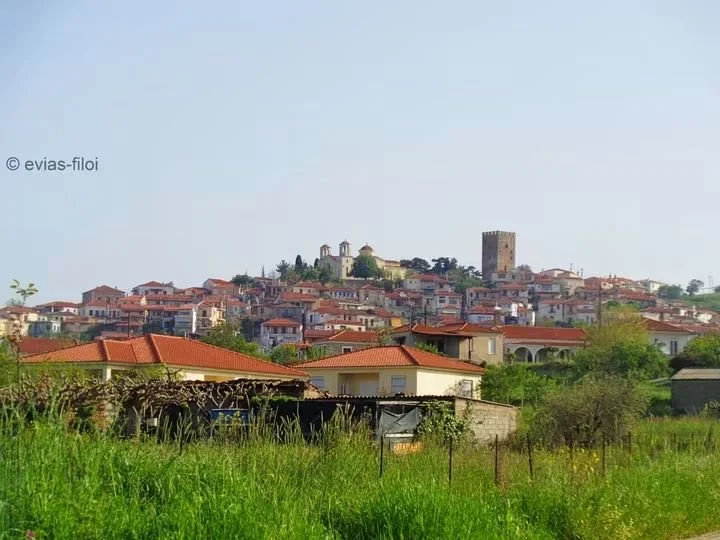 Το Παζάρι Αυλωναρίου αρχές Οκτωβρίου 