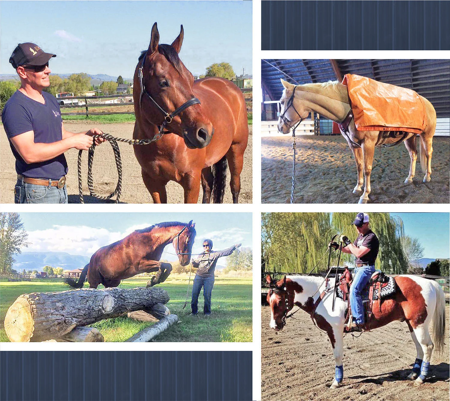 El_Centro_Horse_Training.jpg