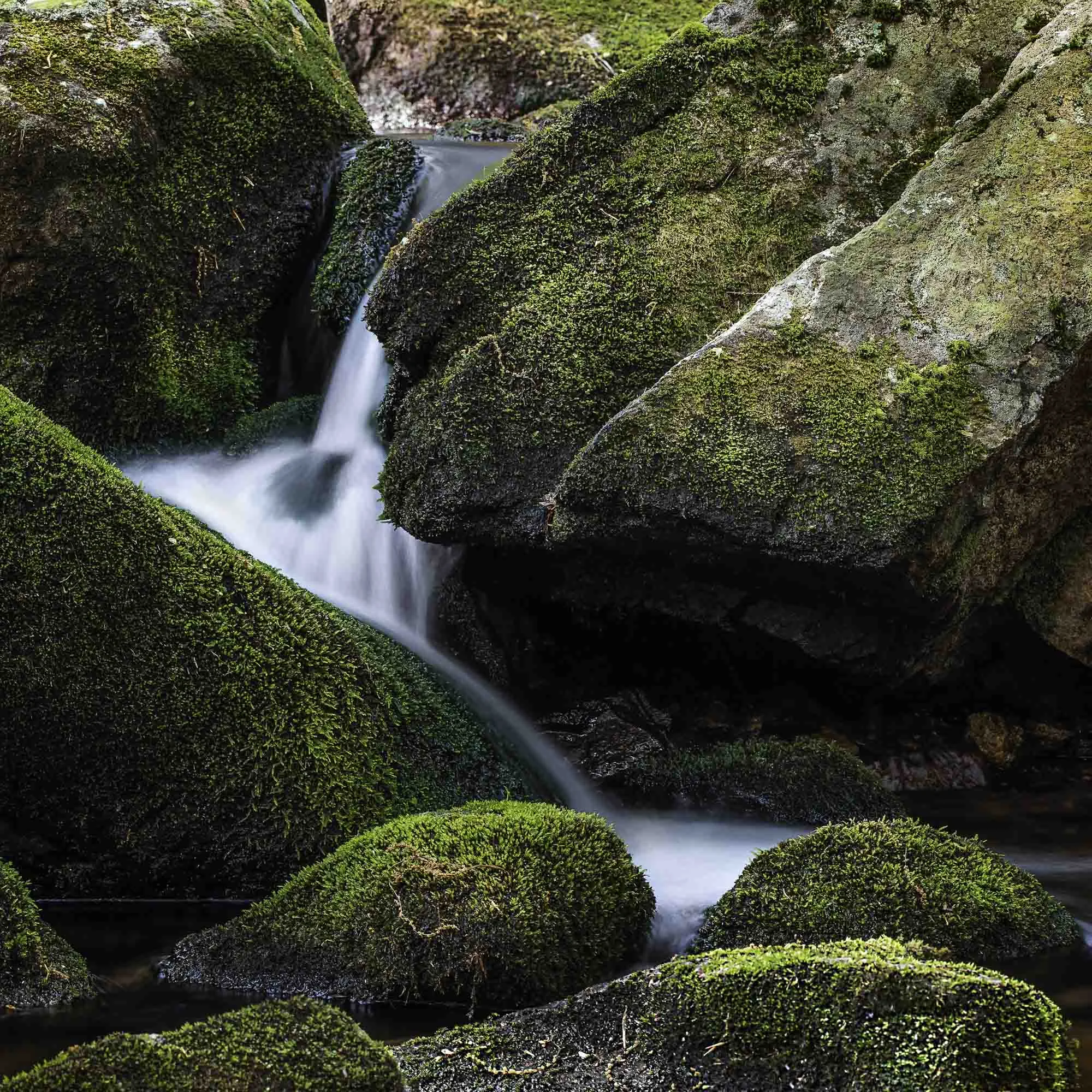 HomerHorowitz_Photography-1.jpg