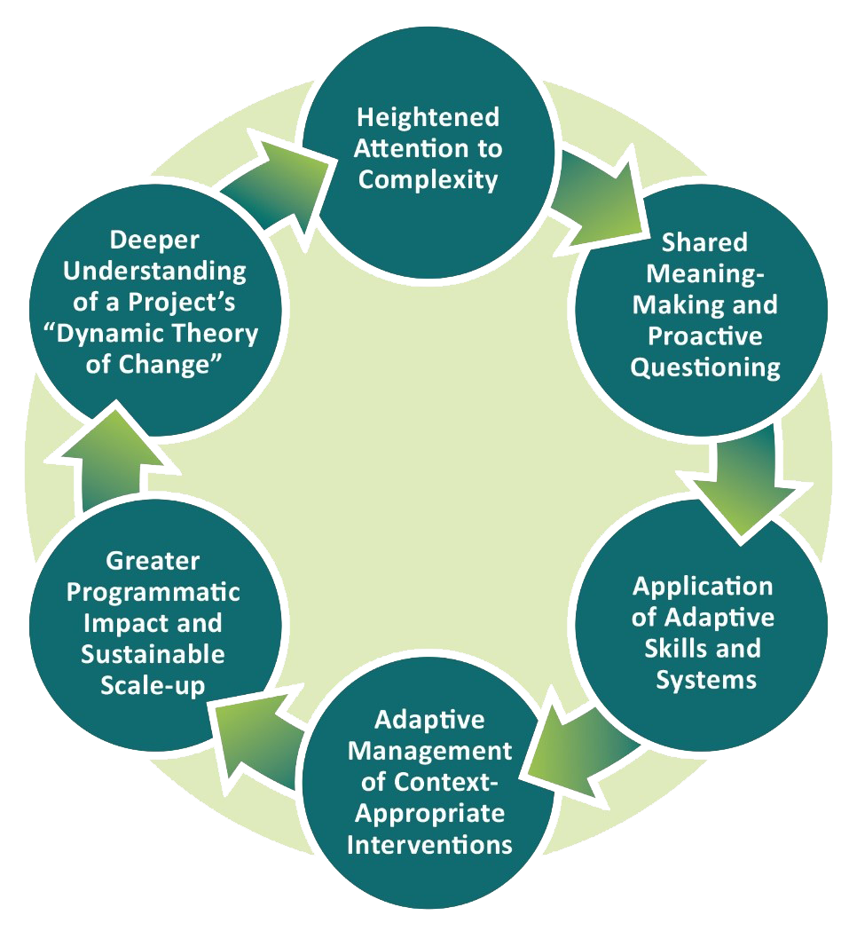 Syntegral approach graphic.png