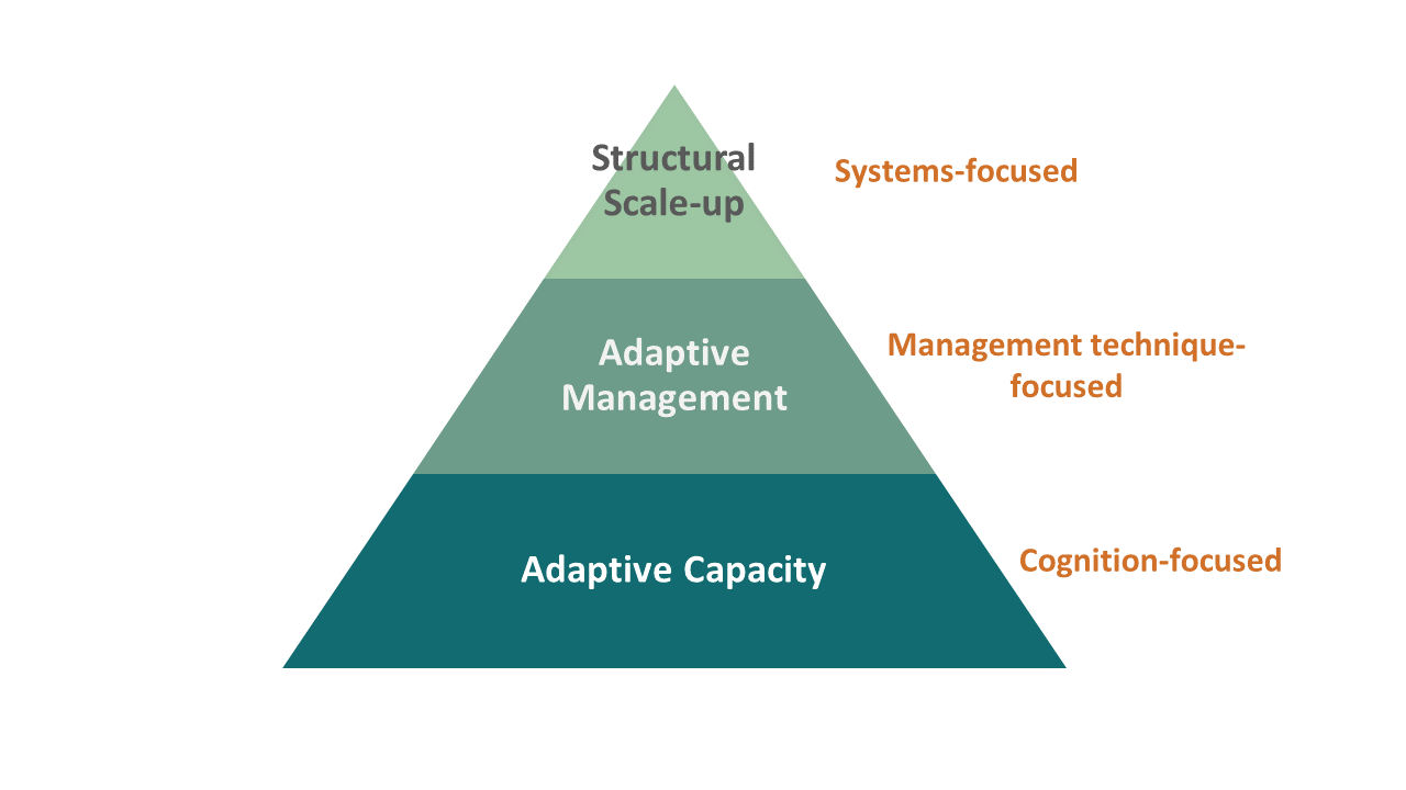 ACapacity-AM-Scale-up Triangle .png