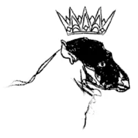 BlackSheep_Sheep Head.jpg