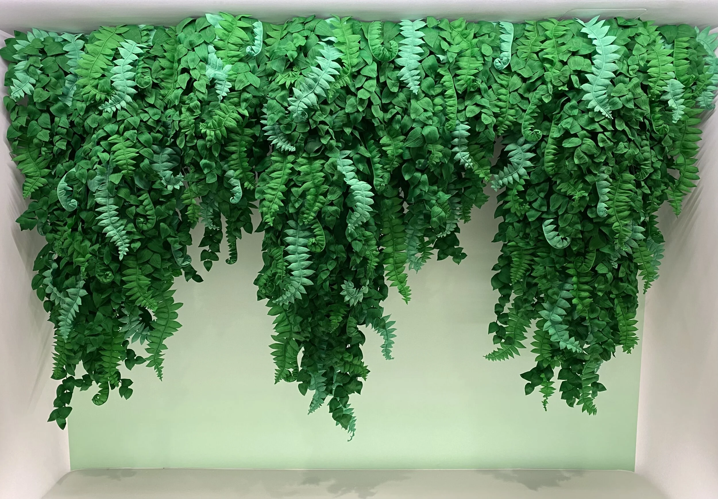  Too many ferns and leaves to count. 9’ x 7’ 