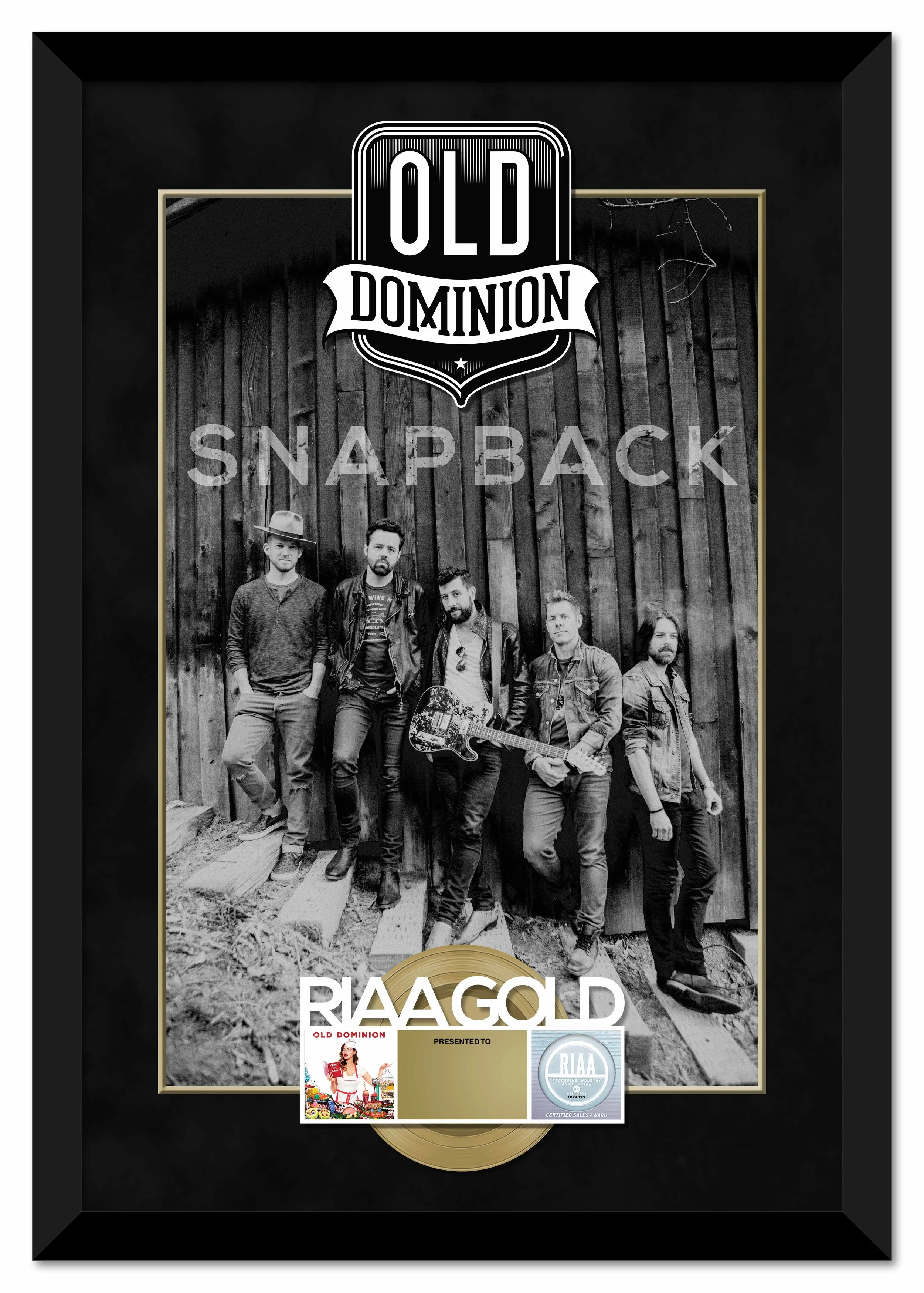 olddominion_snapback.jpg