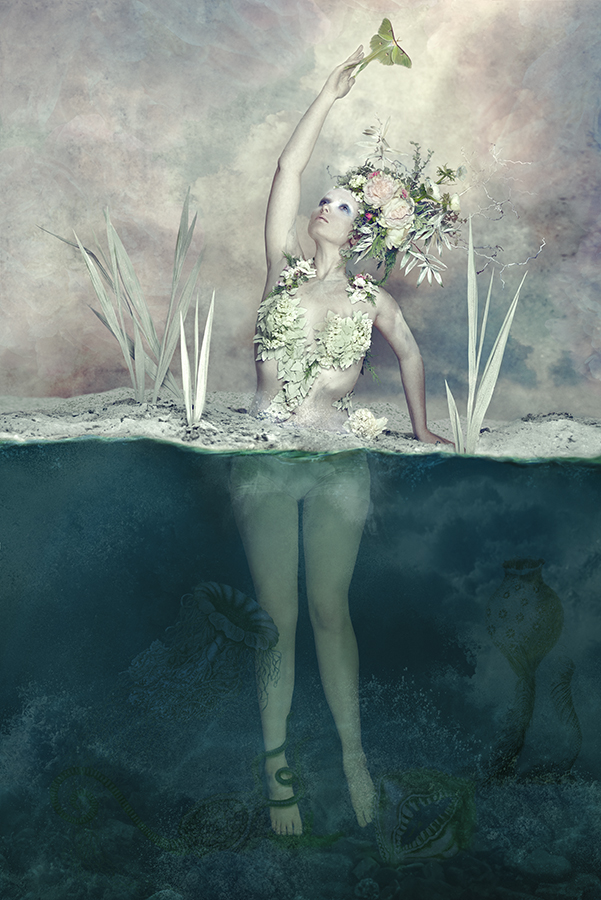 SuzanneRothmeyer_Emerging-03 WEB.jpg