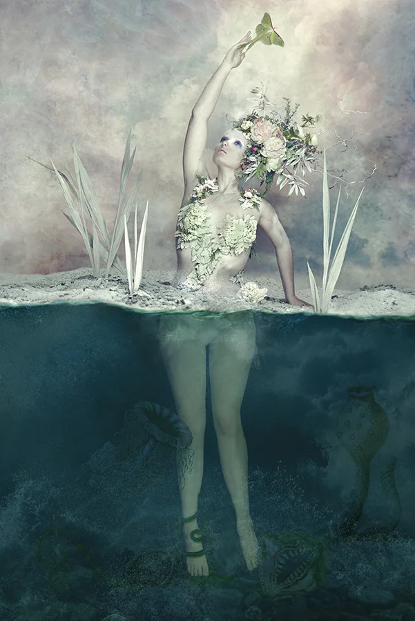 SuzanneRothmeyer_Emerging-03 WEB.jpg