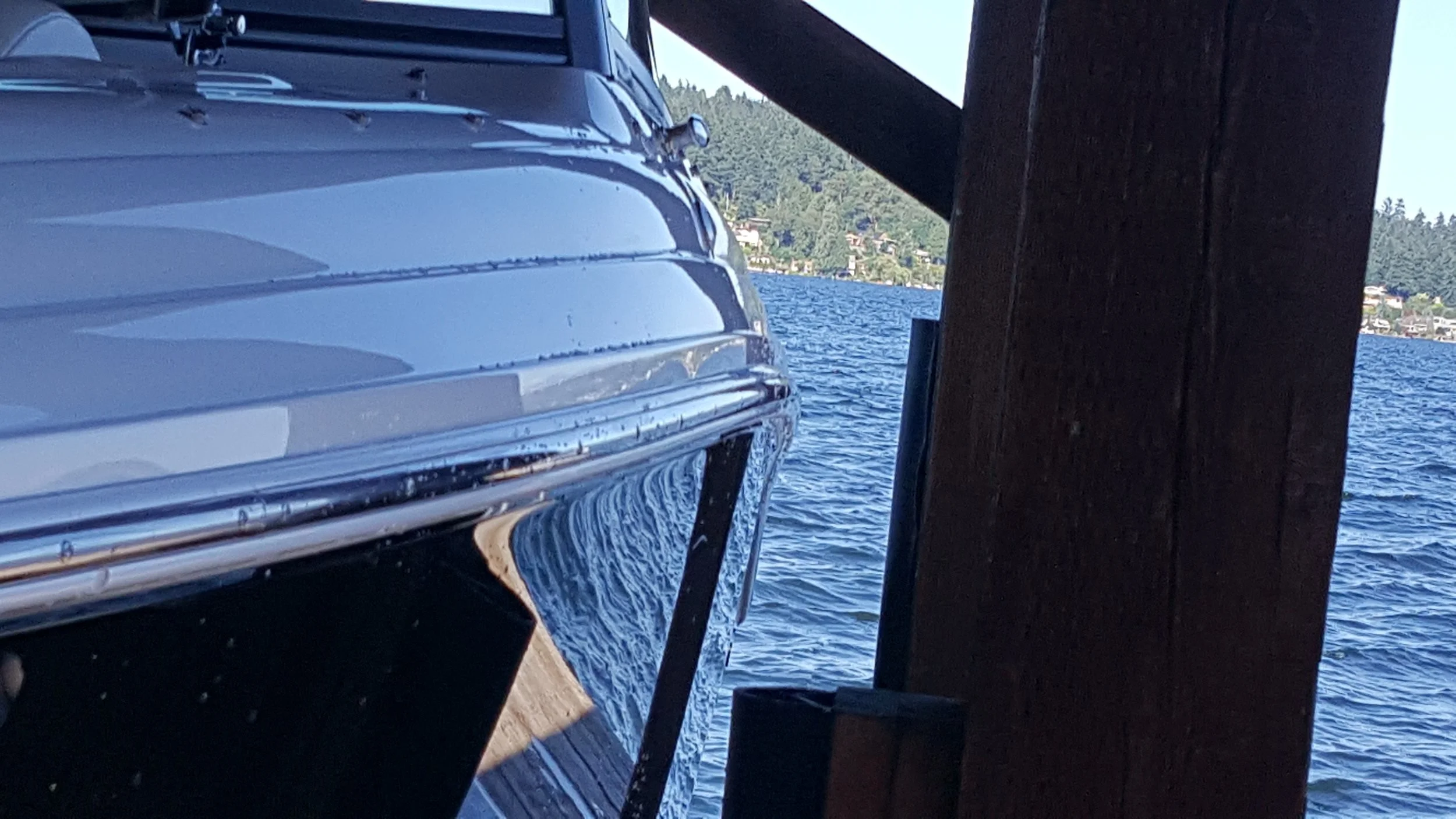 Water beading on a fresh wax job