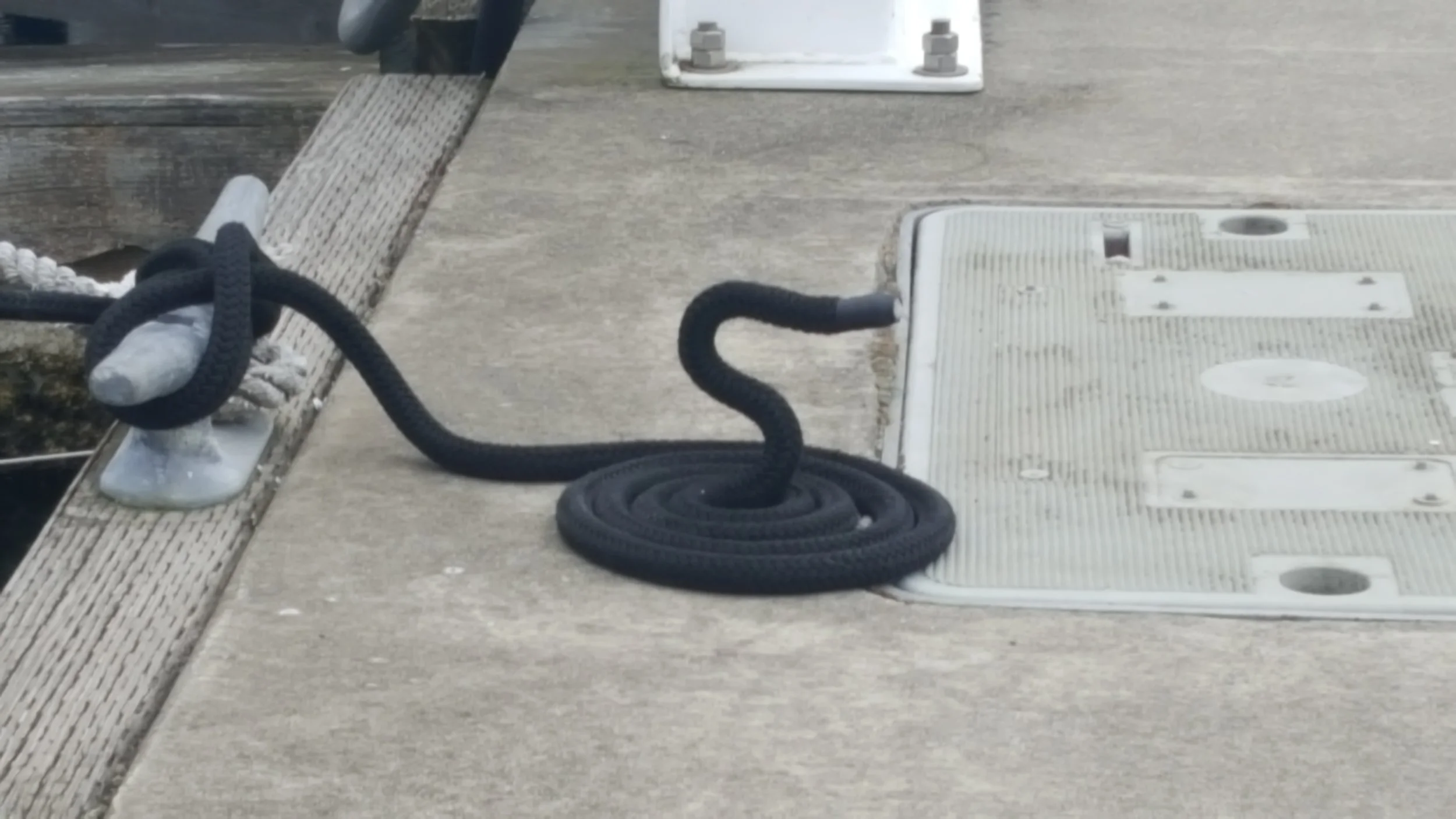 Your friendly neighborhood Boatsnake!