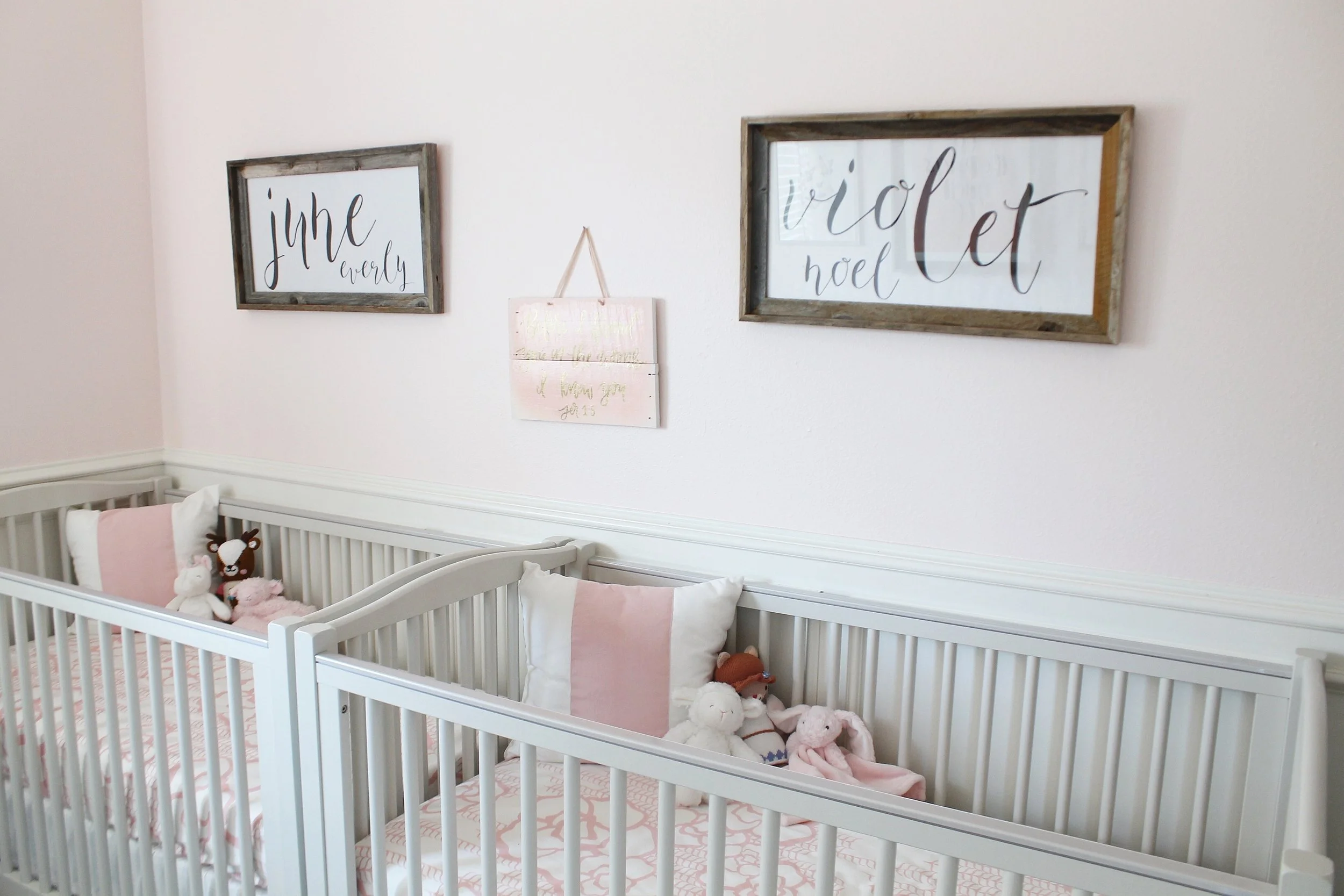Baby Nursery Ideas For Twin Girls