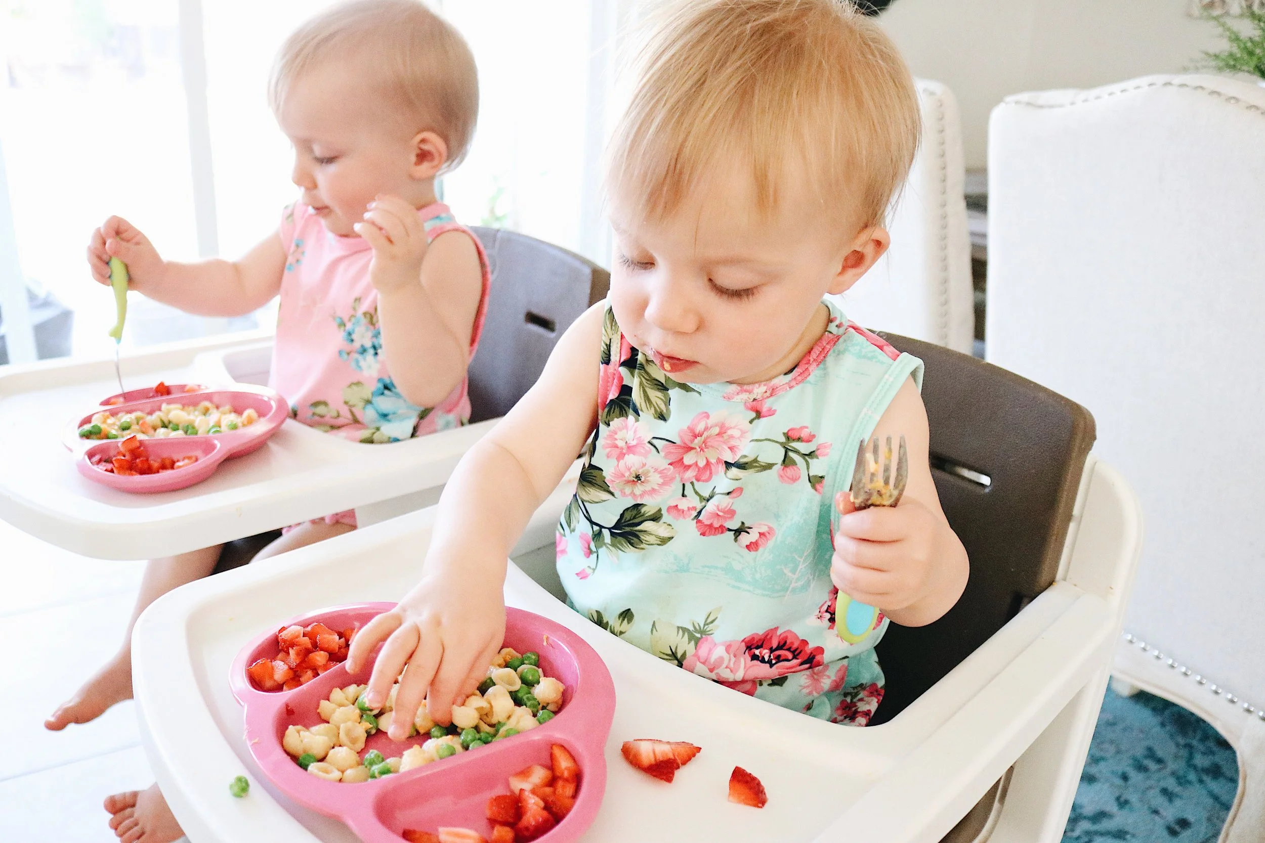 Food Ideas for Toddlers