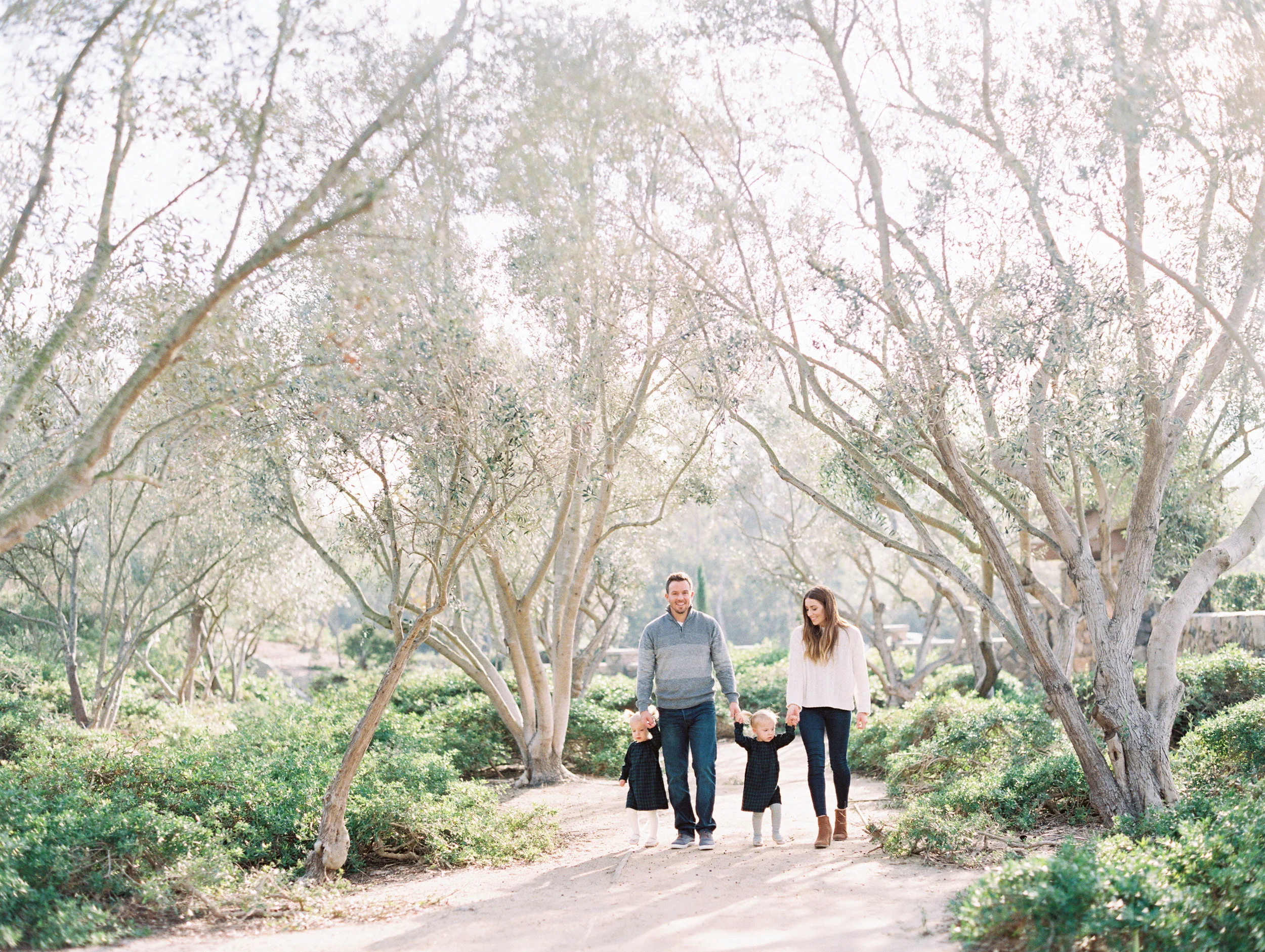 Family Christmas Cards