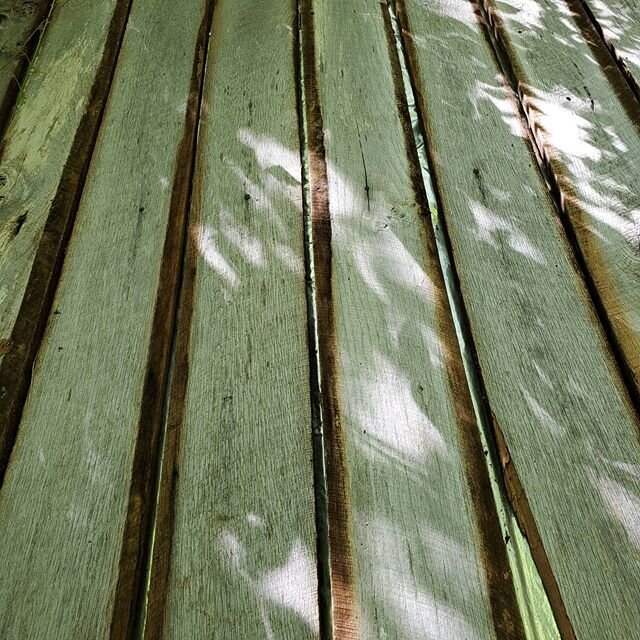 Reclaimed wood tear down. Me, my sons, and their friends tore down this 80 yr old barn piece by piece. Metal went to the recycle yard, and the wood has been disbursed between local woodworkers and my barn for future use. #buildqualitylife #reclaimedw
