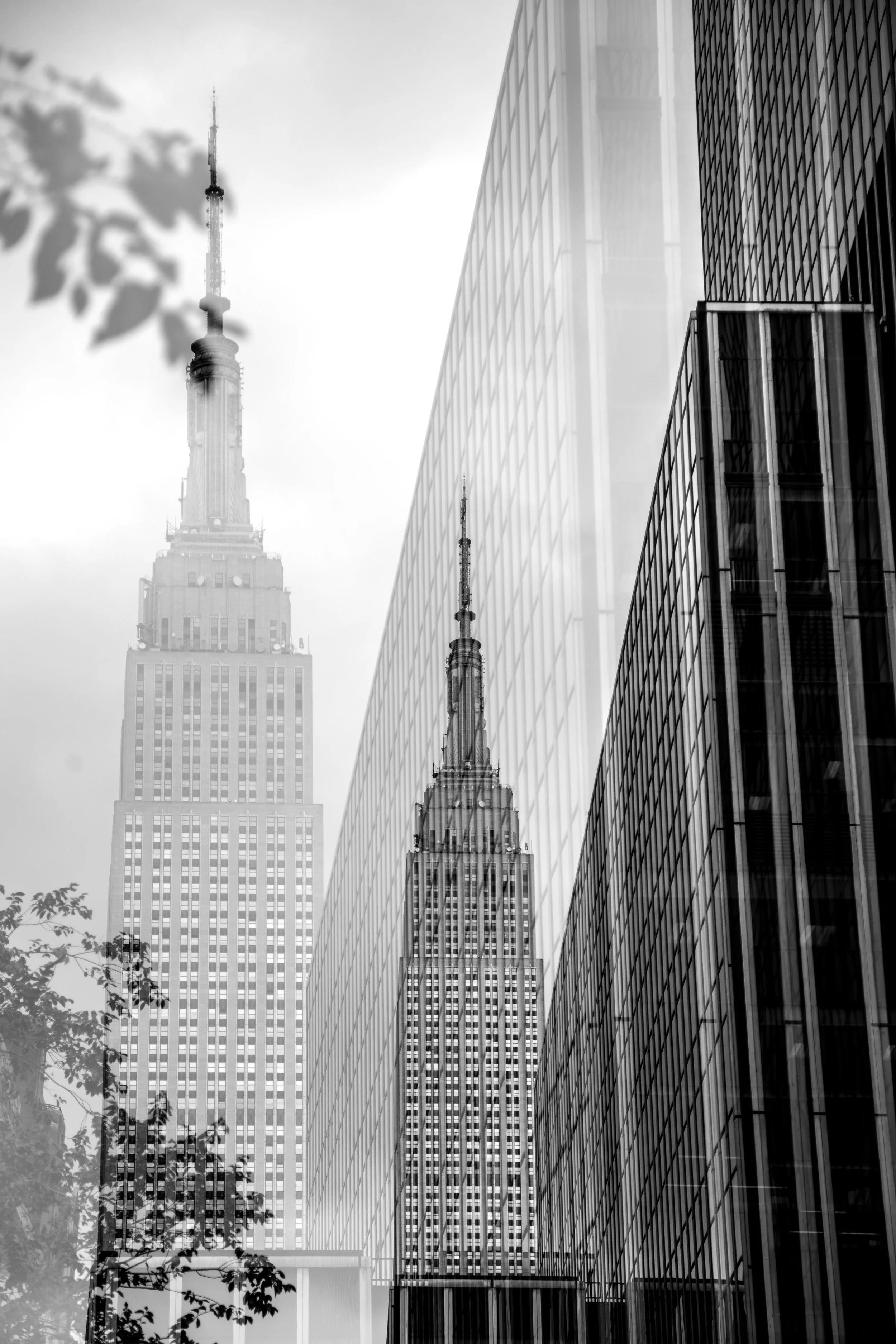 IMG_0417.jpg