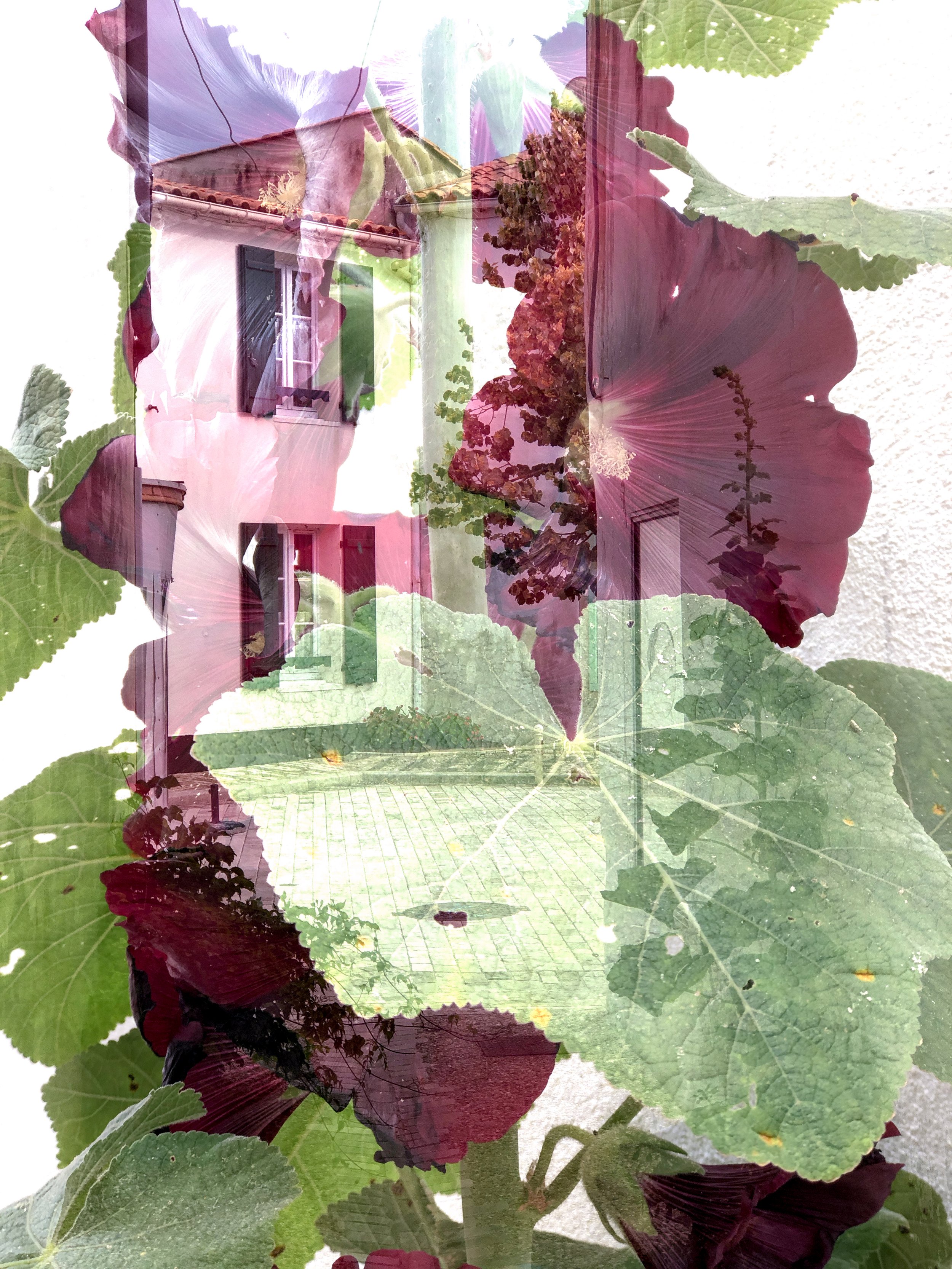 VRRO8605.jpg