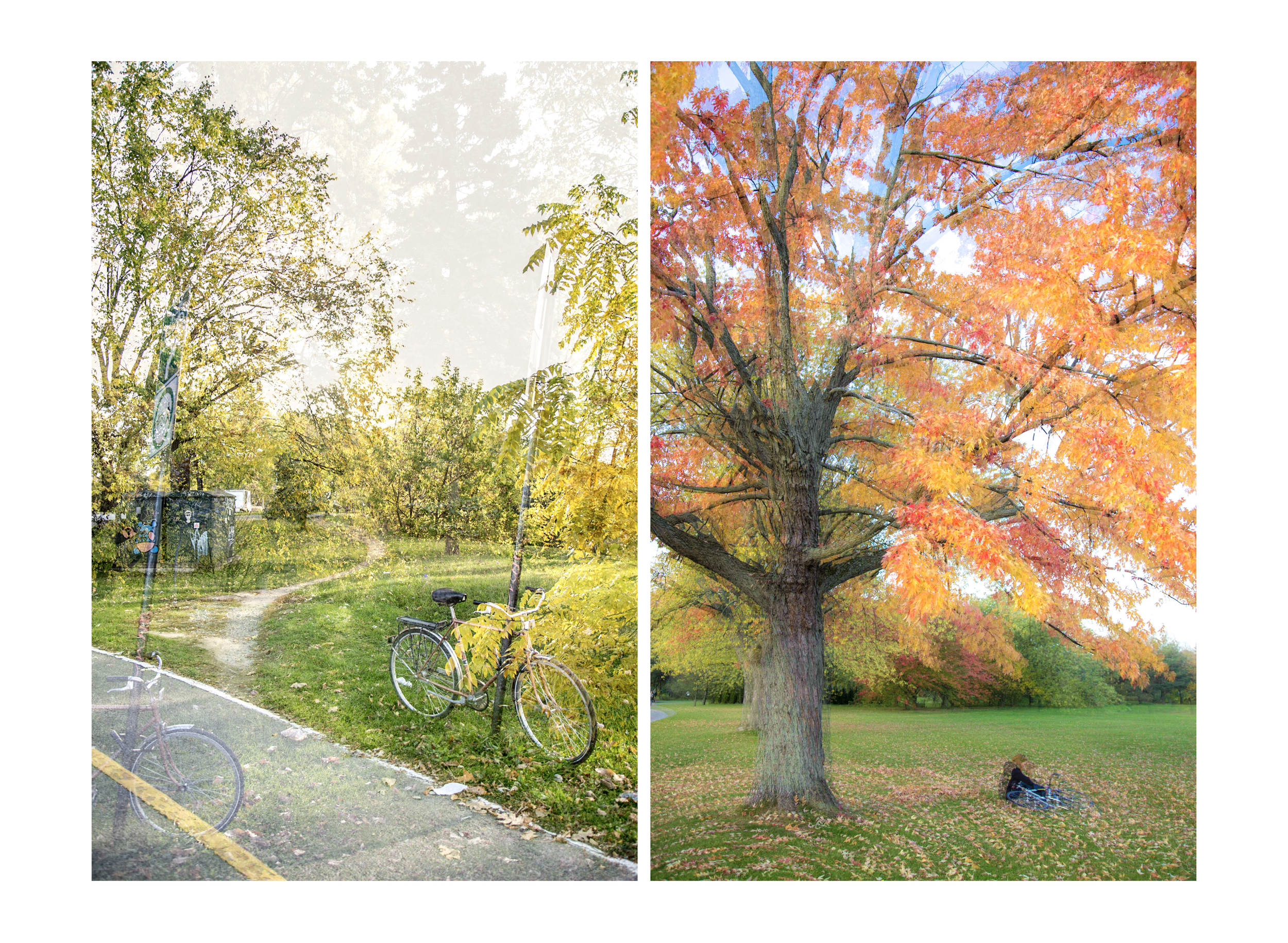 Capture d’écran 2023-10-23 à 09.26.01.png