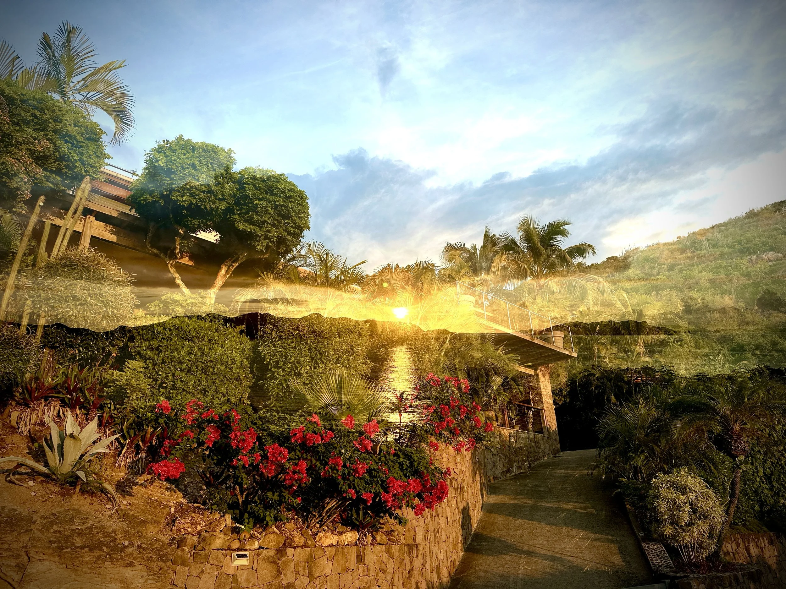 IMG_0555.jpg