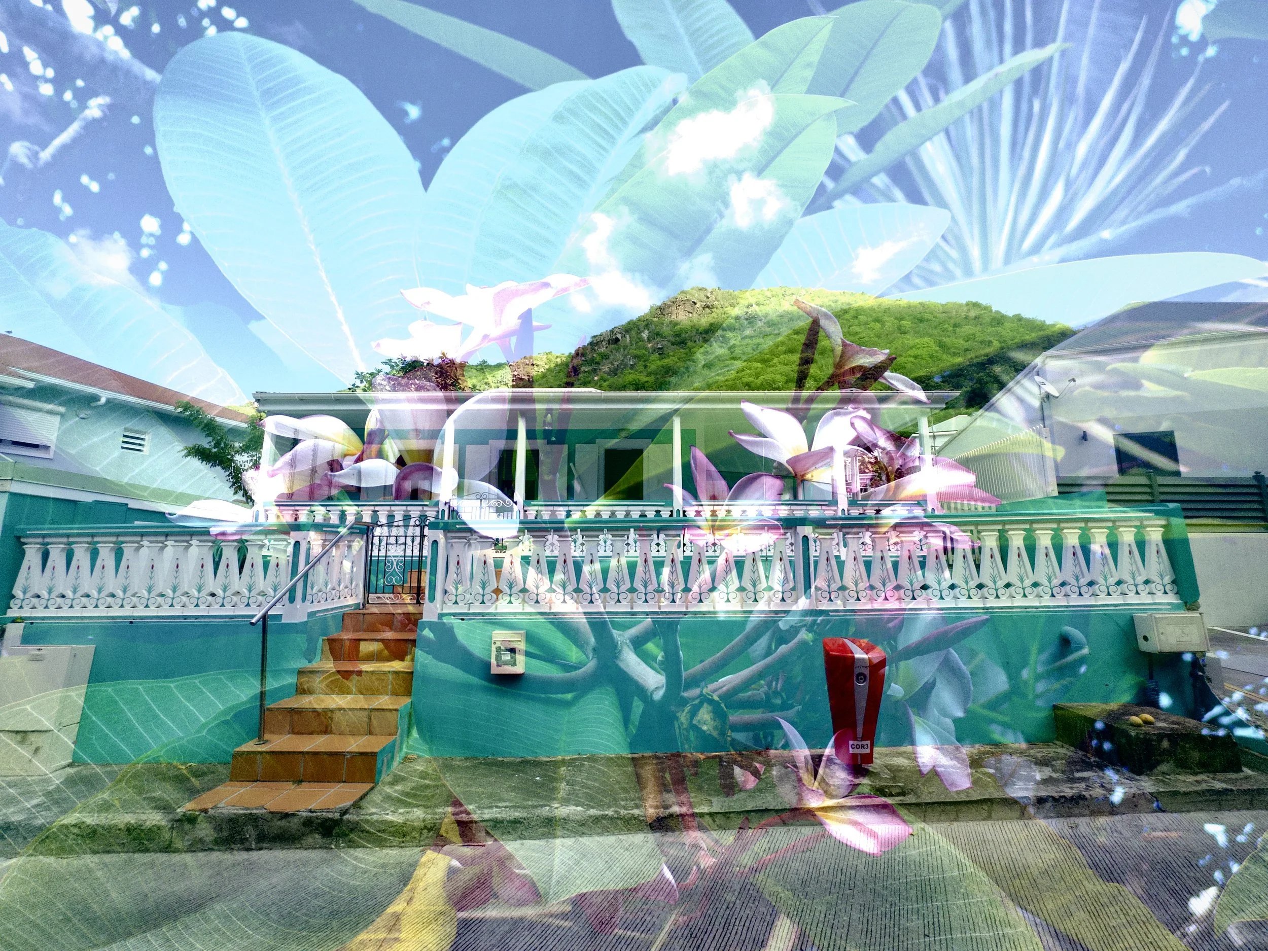 95BDDFD7-4977-48DB-A903-2FA8C68CB0C9-35204-0000063B51F9F089.jpg