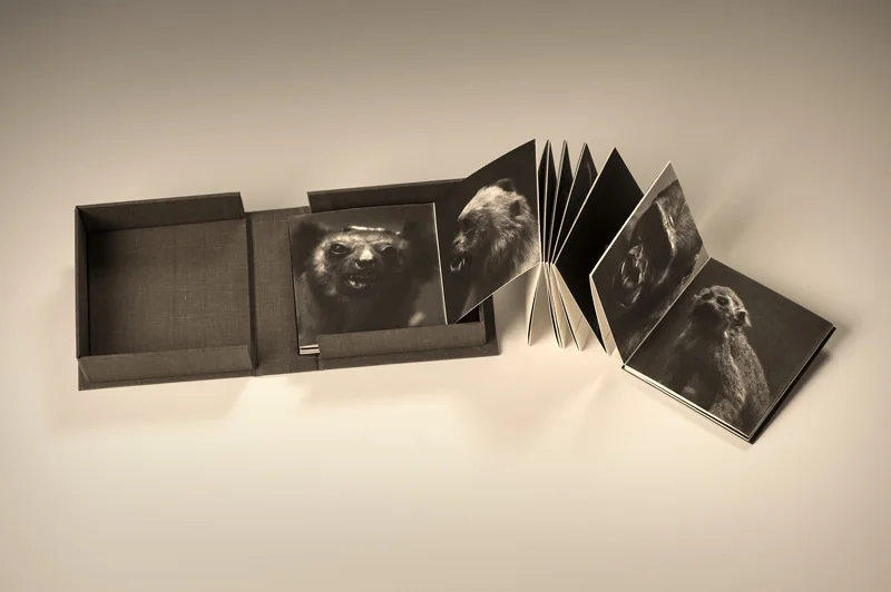 Family Album