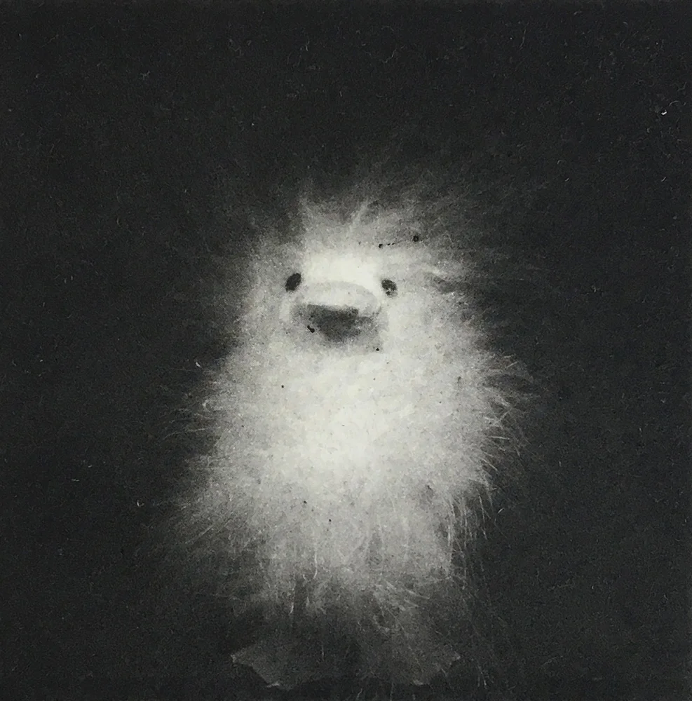 13/12; Fluffy III