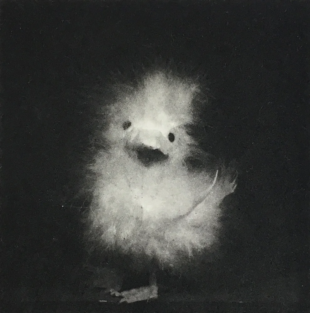 13/12; Fluffy IV