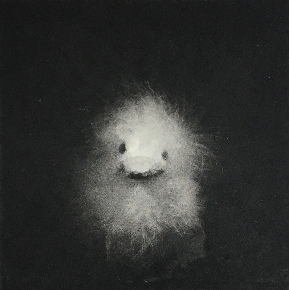 13/12; Fluffy VII