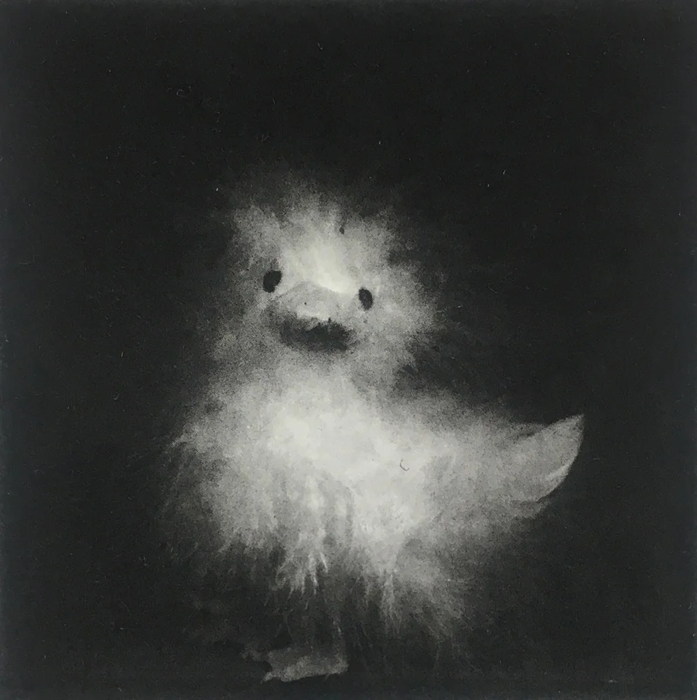 13/12; Fluffy XIII
