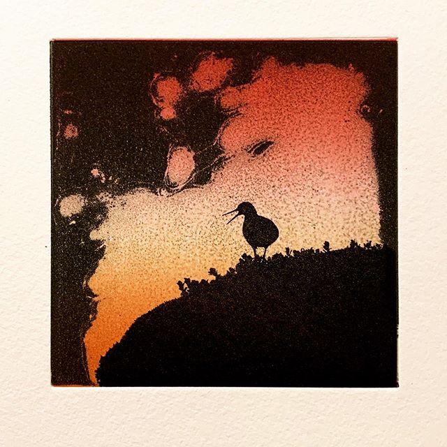 New unique print by Janne Laine. #etching #printmaking #art #taide #konst #printmaking #graphic #photoetching #bird from #iceland #jannelaine