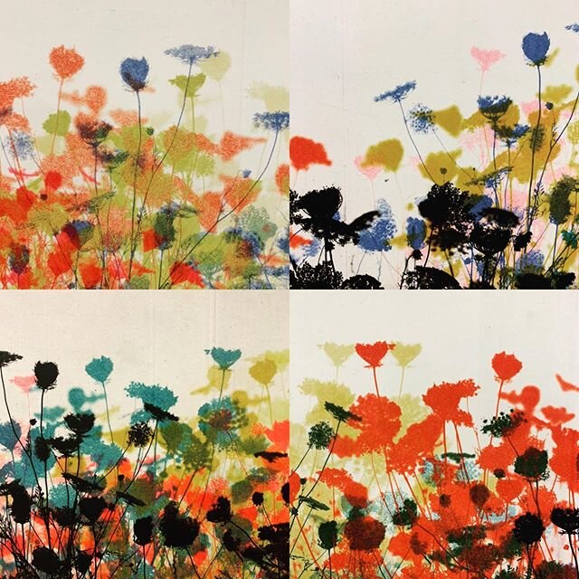 Details from my new series. Unique prints. #art #etchings #printmaking #gravure #graphic #print #flowers #rainbow #meadow #jannelaineart