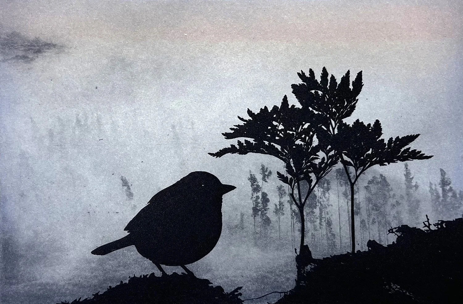 Misty Morning I